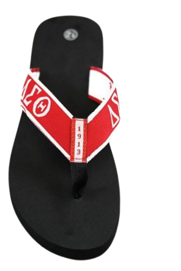 Delta Sigma Theta Flip Flops In Draw String Shoe Bag