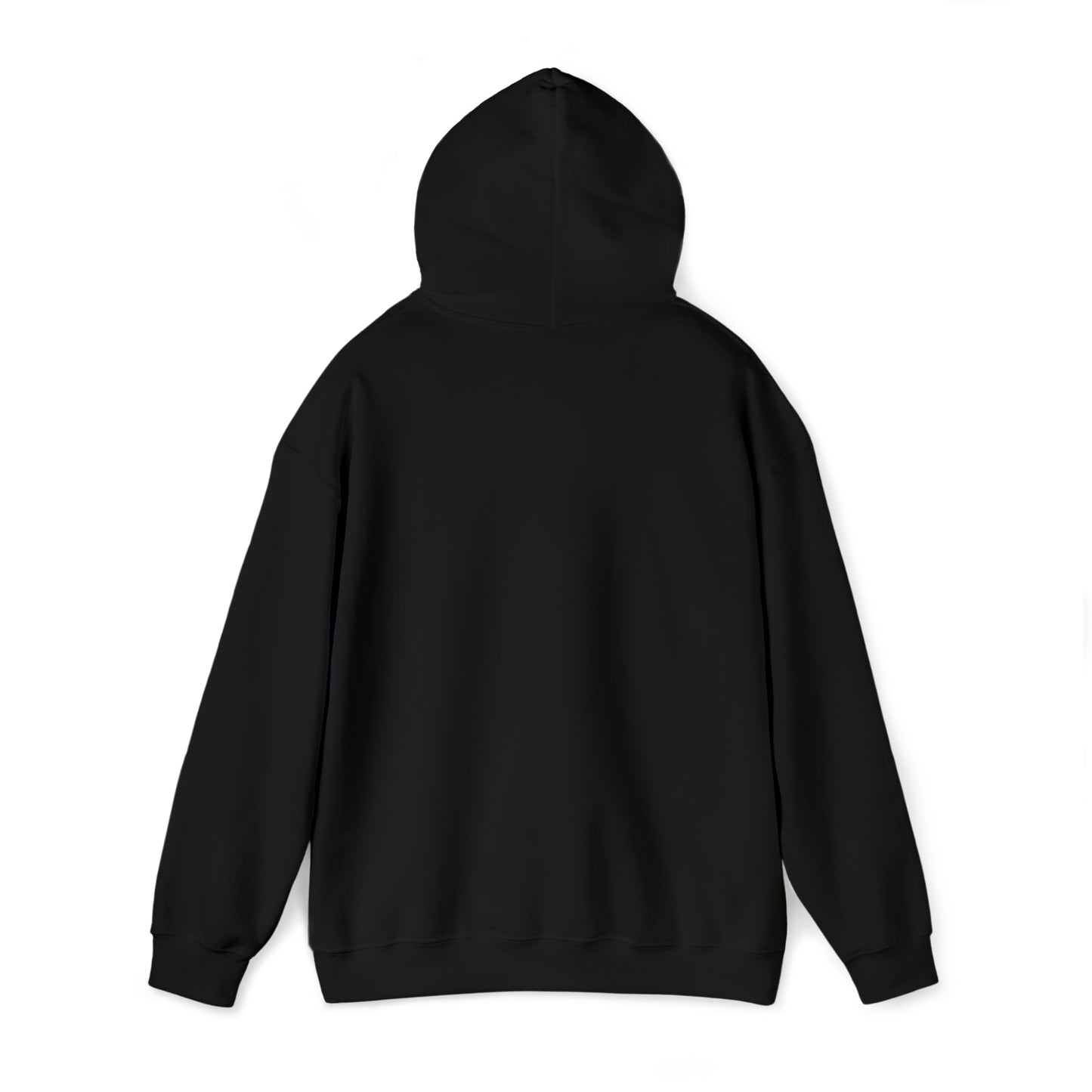 The baDST Heavy Blend Hooded Sweatshirt Black Delta Sigma Theta