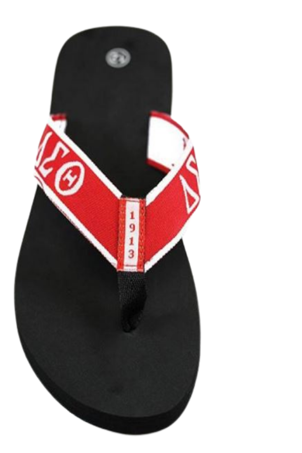 Delta Sigma Theta (DST) Flip Flops In Draw String Shoe Bag