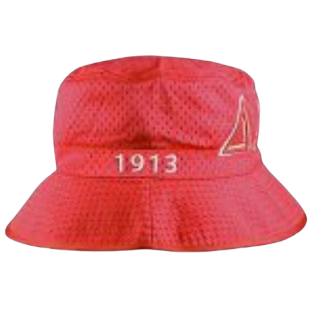 Delta sigma theta bucket top hat