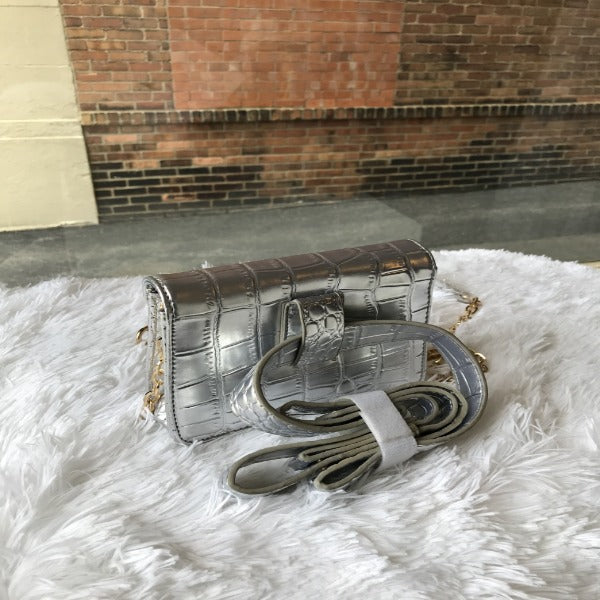 Silver Crossbody/Belt Bag